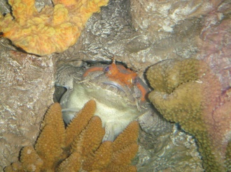 image DSC00152.JPG