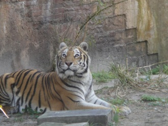 image DSC00348.JPG