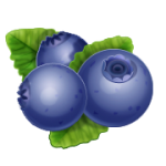 Blueberries